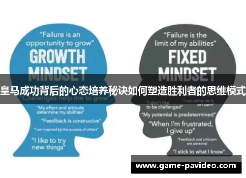 皇马成功背后的心态培养秘诀如何塑造胜利者的思维模式