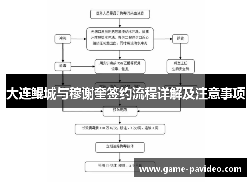 大连鲲城与穆谢奎签约流程详解及注意事项